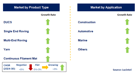 Glass Fiber for Sprayup Market by Segment