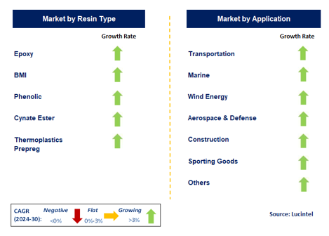 Glass Fiber for the Prepreg Market by Segment