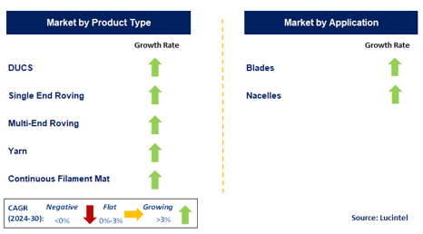 Glass Fiber in the Wind Energy Market by Segment