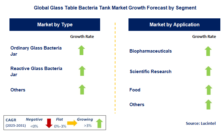 Glass Table Bacteria Tank Market by Segment