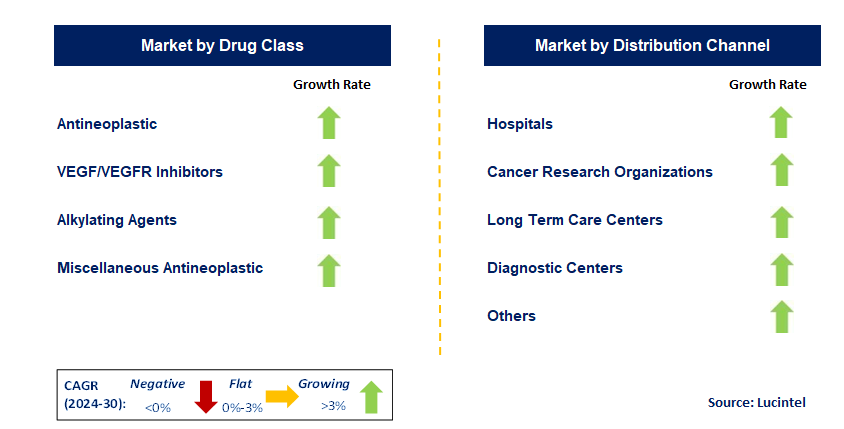 Glioblastoma Treatment Drug by Segment