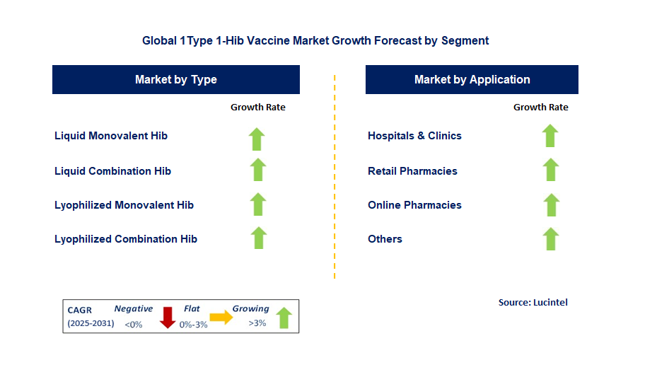 1Type 1-Hib Vaccine Market by Segment