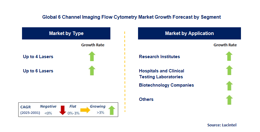 6 Channel Imaging Flow Cytometry Market by Segment