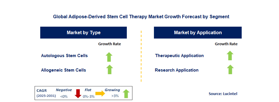 Adipose-Derived Stem Cell Therapy Market by Segment