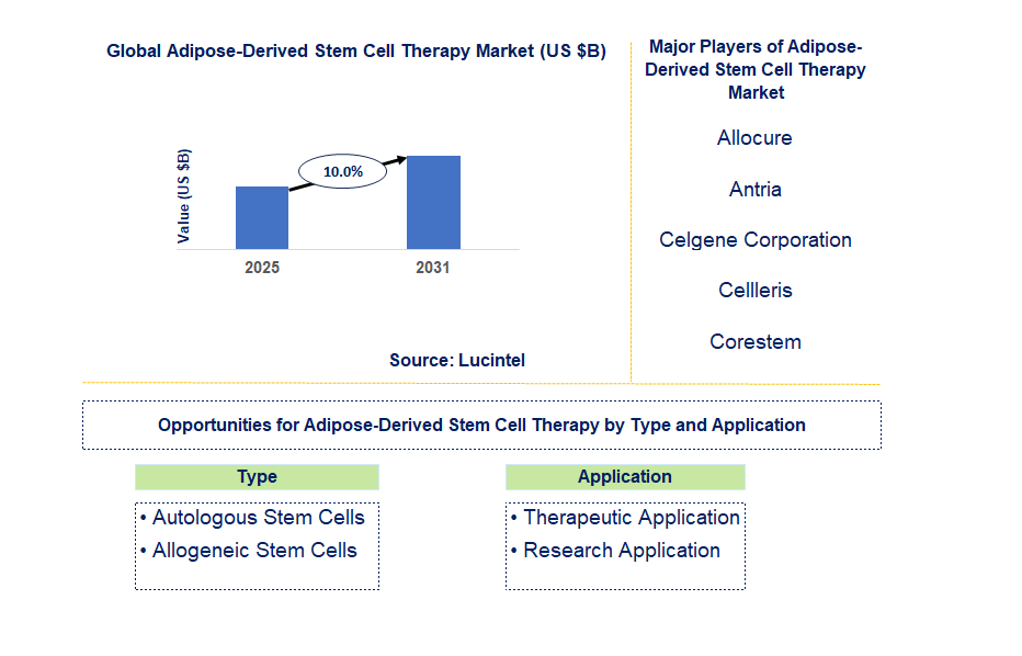 Adipose-Derived Stem Cell Therapy Market Trends and Forecast