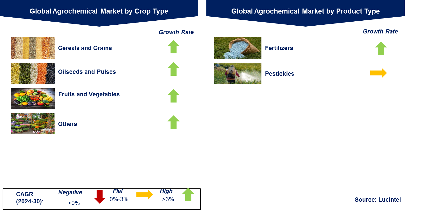 Agrochemical Market by Segment