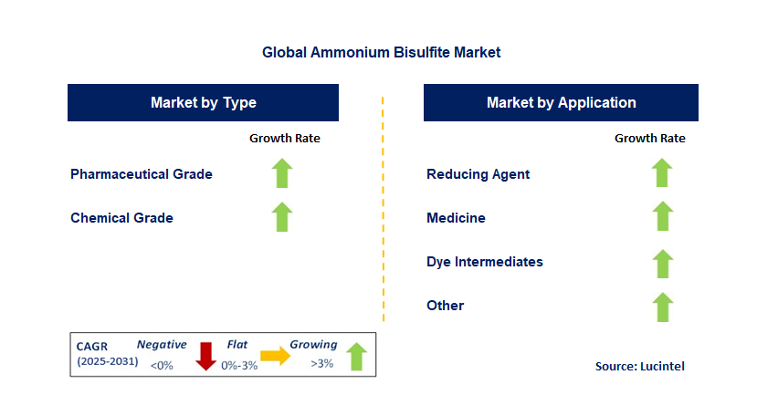 Ammonium Bisulfite Market by Segment