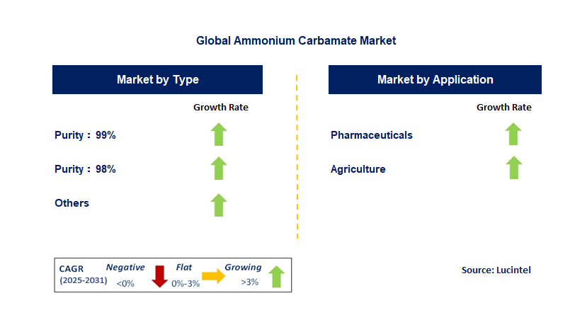 Ammonium Carbamate Market by Segment