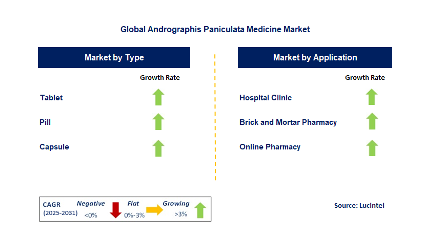 Andrographis Paniculata Medicine Market by Segment