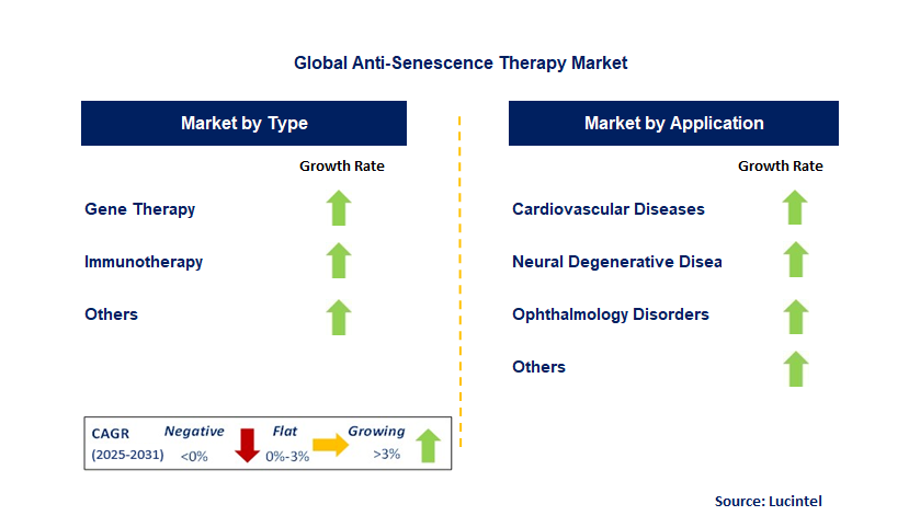 Anti-Senescence Therapy Market by Segment