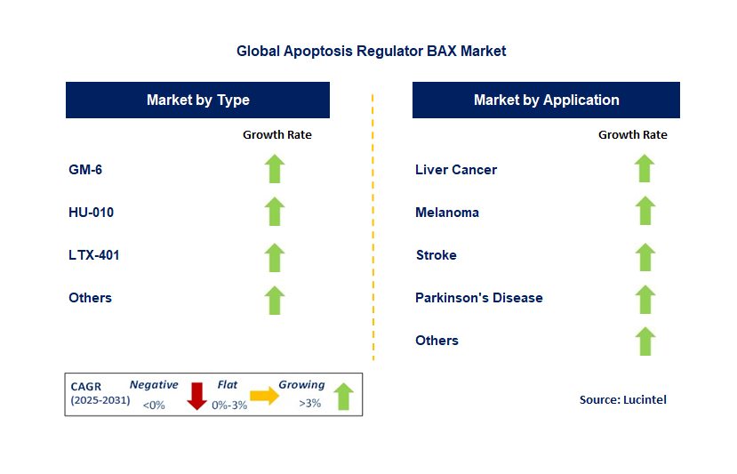 Apoptosis Regulator Bax Market by Segment