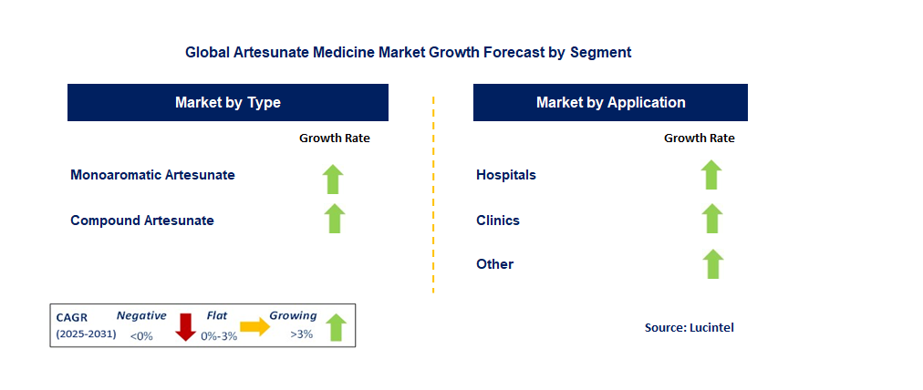 Artesunate Medicine Market by Segment