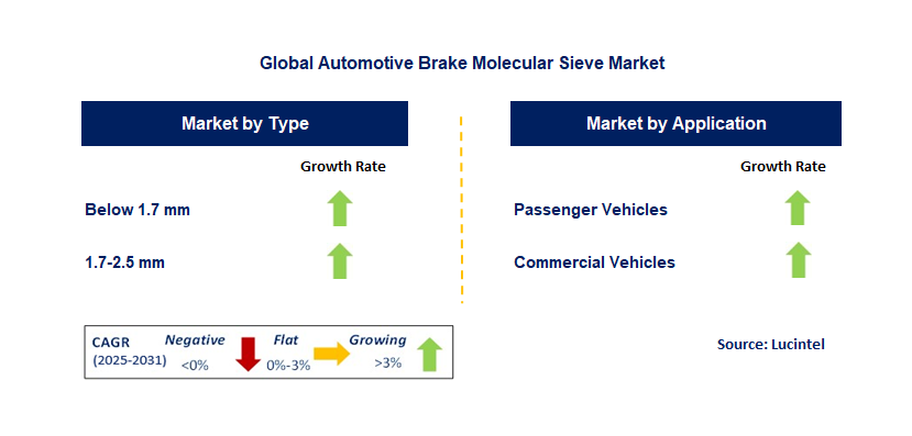 Automotive Brake Molecular Sieve Market by Segment