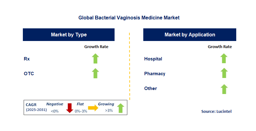 Bacterial Vaginosis Medicine Market by Segment