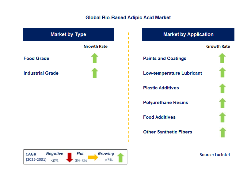 Bio-Based Adipic Acid Market by Segment