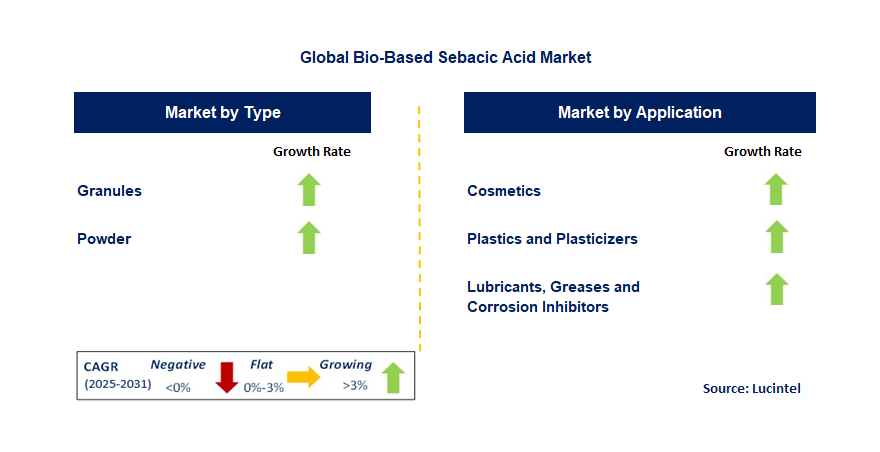 Bio-Based Sebacic Acid Market by Segment