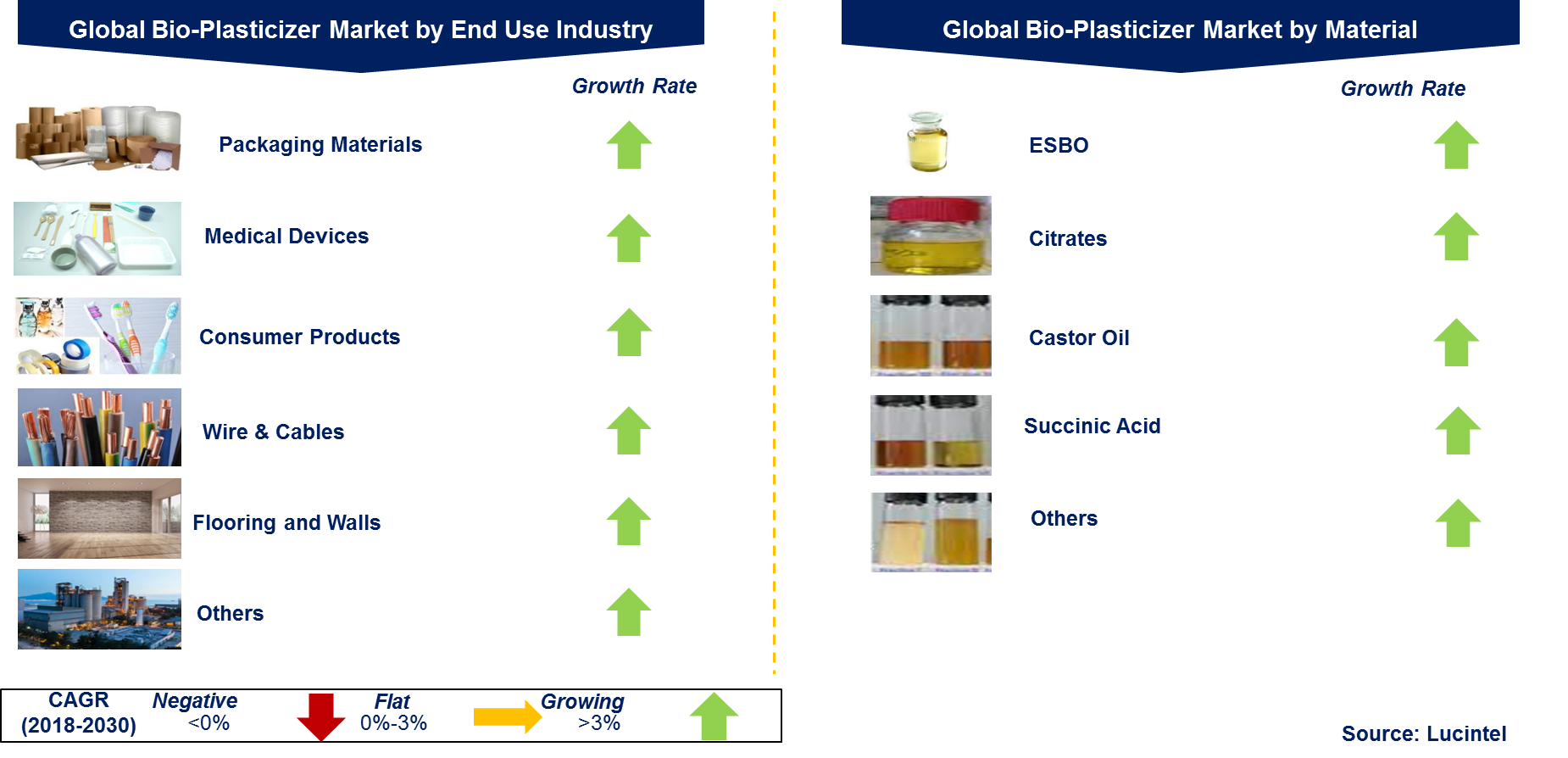 Bio-Plasticizer Market by Segment