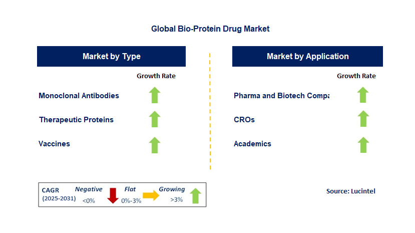 Bio-Protein Drug Market by Segment