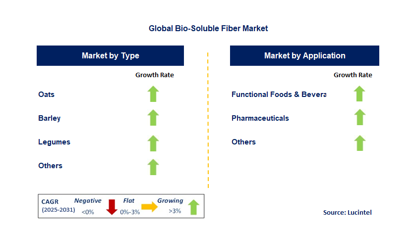 Bio-Soluble Fiber Market by Segment