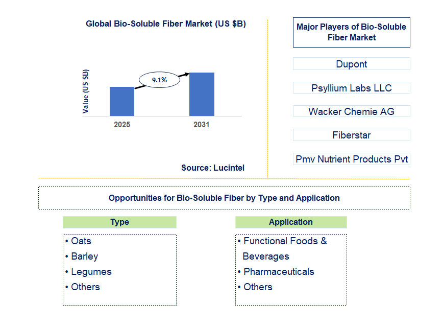 Bio-Soluble Fiber Market Trends and Forecast