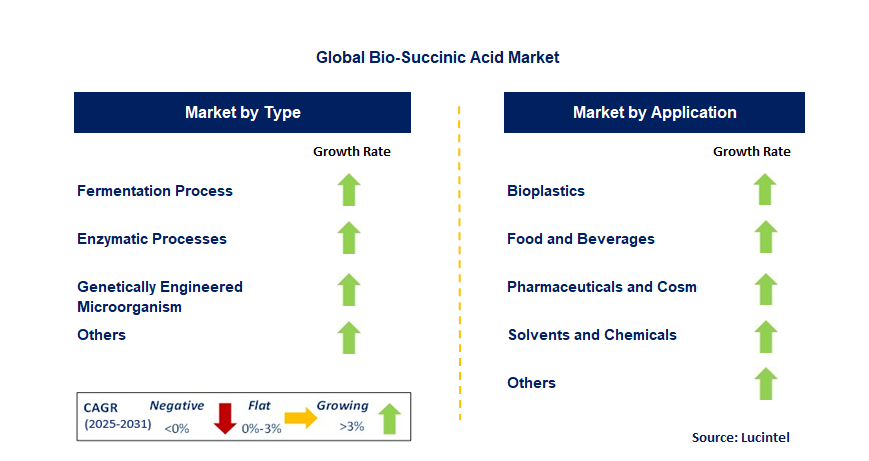 Bio-Succinic Acid Market by Segment