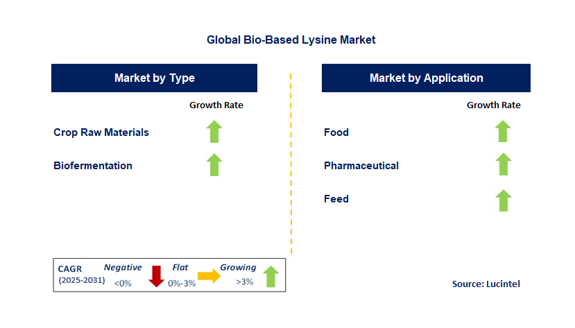 Bio-Based Lysine Market by Segment