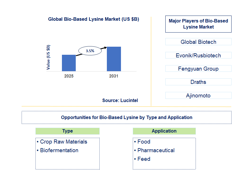 Bio-Based Lysine Market Trends and Forecast