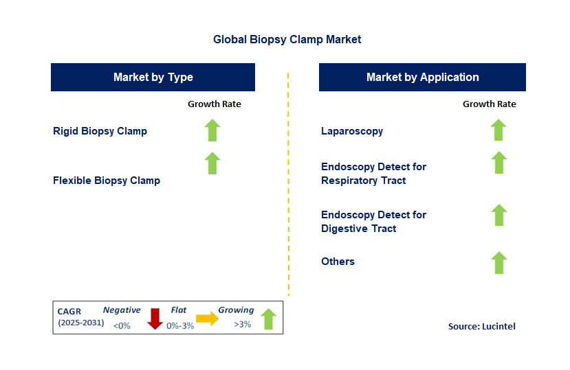 Biopsy Clamp Market by Segment