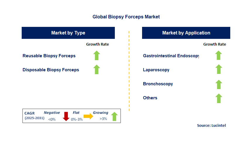 Biopsy Forceps Market by Segment