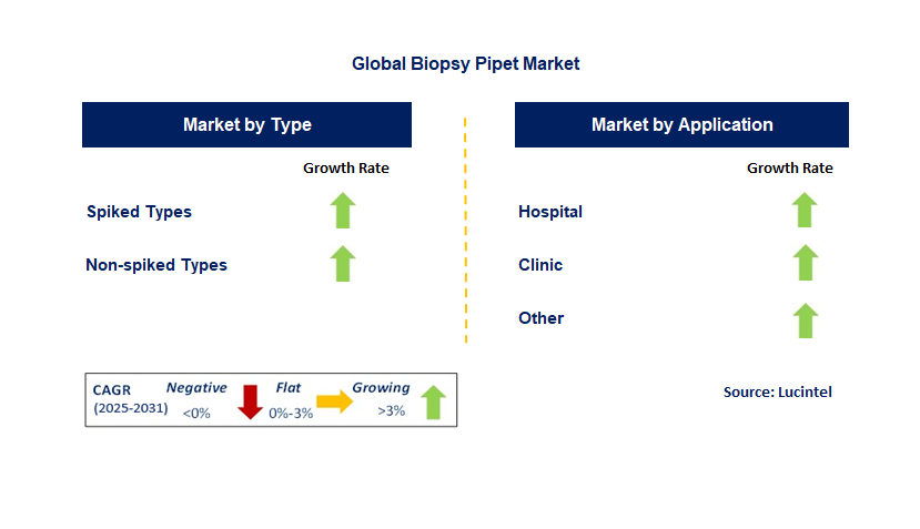 Biopsy Pipet Market by Segment