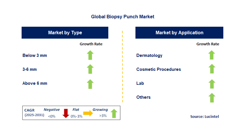 Biopsy Punch Market by Segment