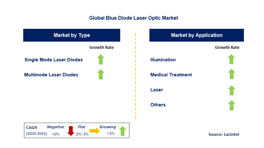 Blue Diode Laser Optic Market by Segment