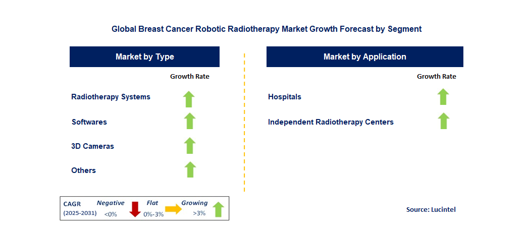 Breast Cancer Robotic Radiotherapy Market by Segment