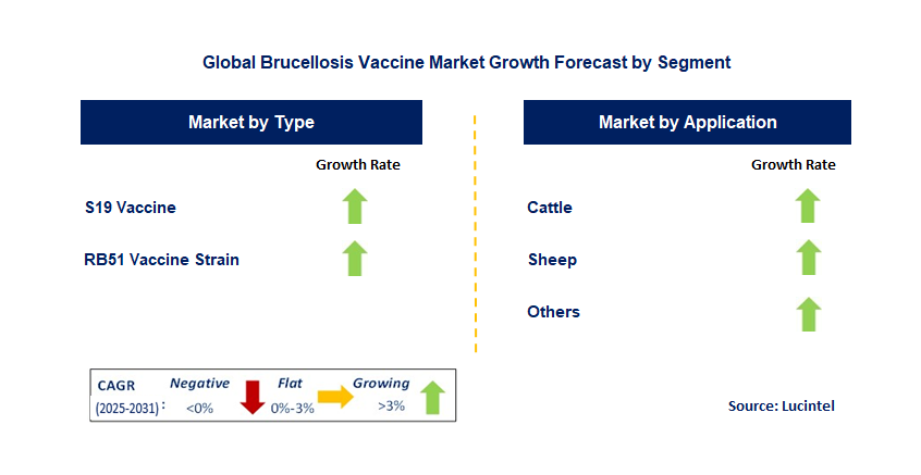Brucellosis Vaccine Market by Segment