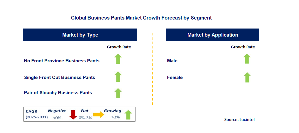 Business Pants Market by Segment