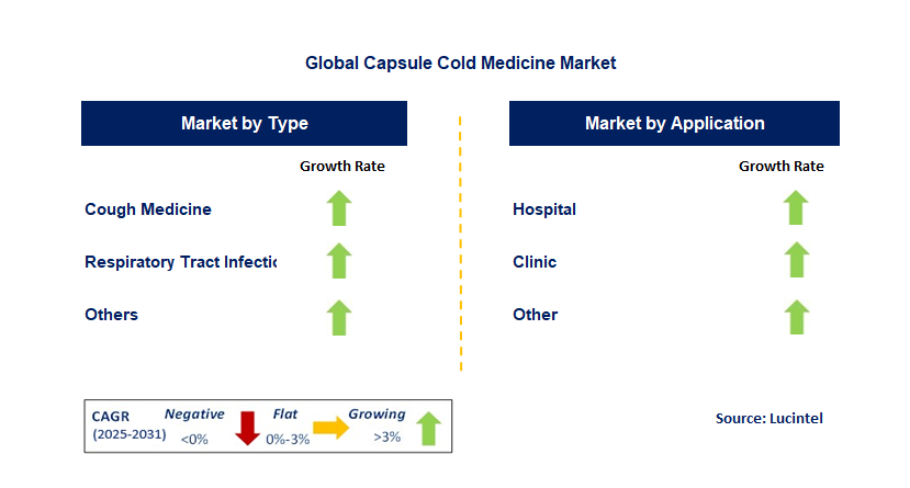 Capsule Cold Medicine Market by Segment