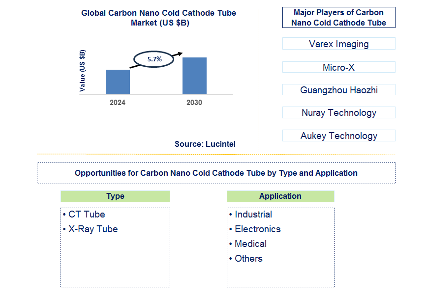 Carbon Nano Cold Cathode Tube Trends and Forecast