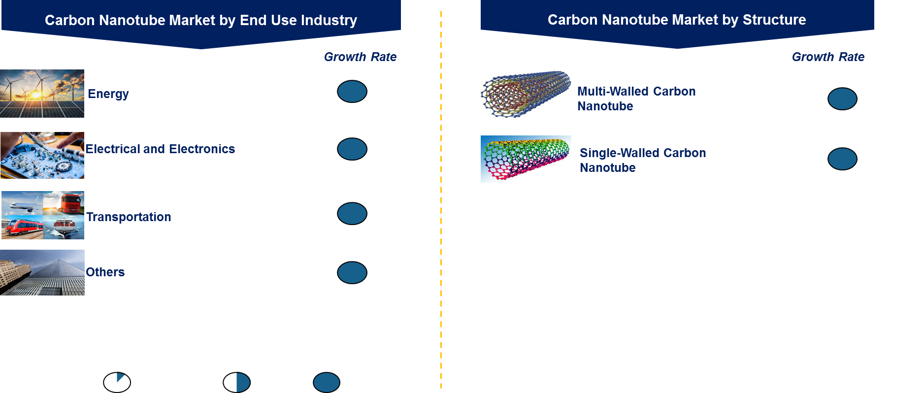 Carbon Nanotube Market by Segment