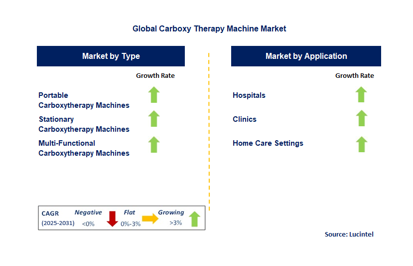 Carboxy Therapy Machine Market by Segment