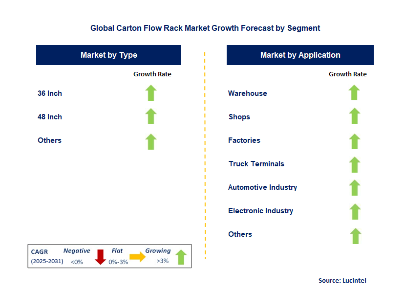 Carton Flow Rack Market by Segment