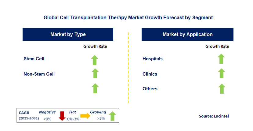 Cell Transplantation Therapy Market by Segment
