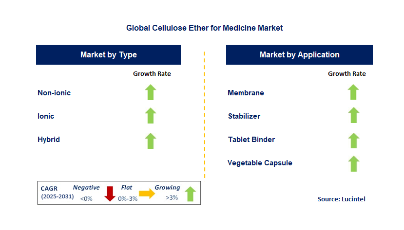 Cellulose Ether for Medicine Market by Segment