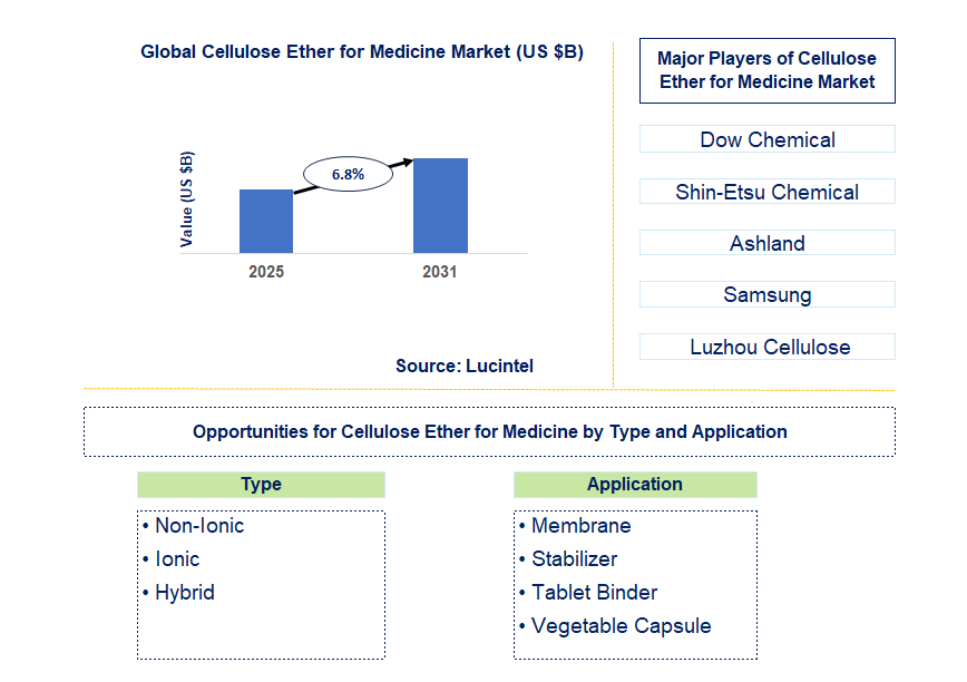 Cellulose Ether for Medicine Market Trends and Forecast