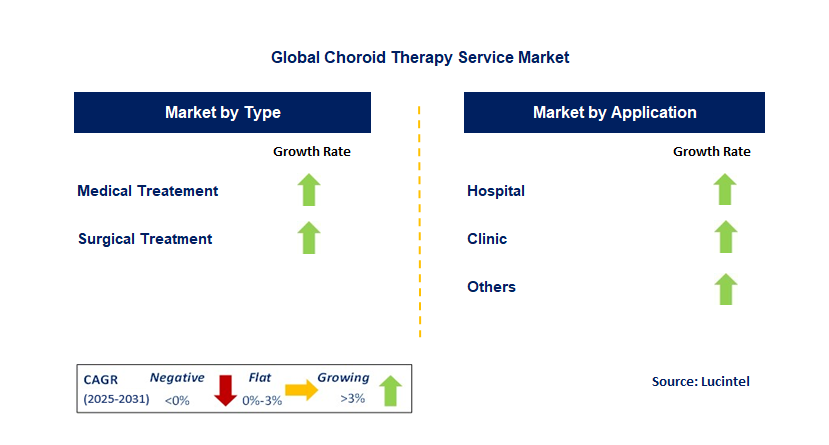 Choroid Therapy Service by Segment