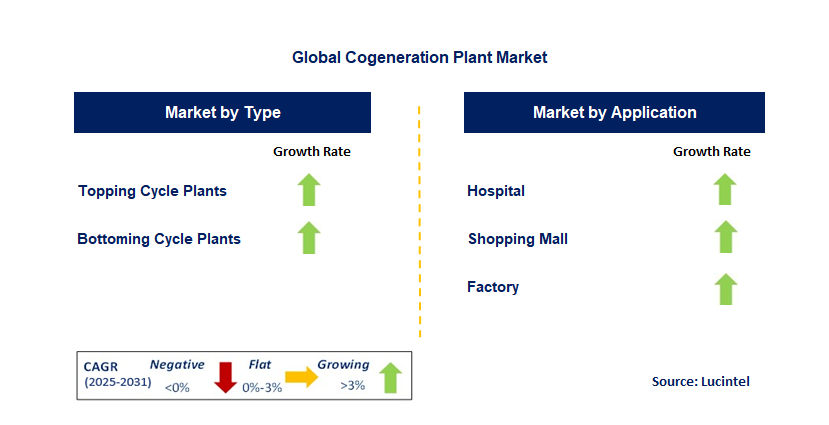 Cogeneration Plant Market by Segment