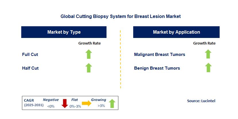 Cutting Biopsy System for Breast Lesion Market by Segment