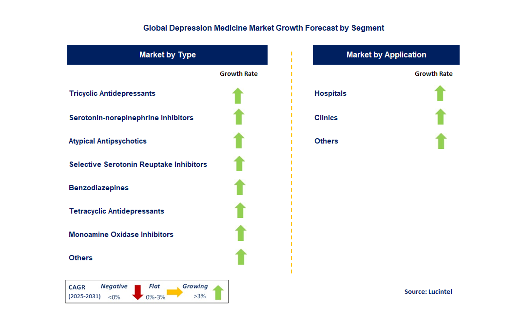 Depression Medicine Market by Segment