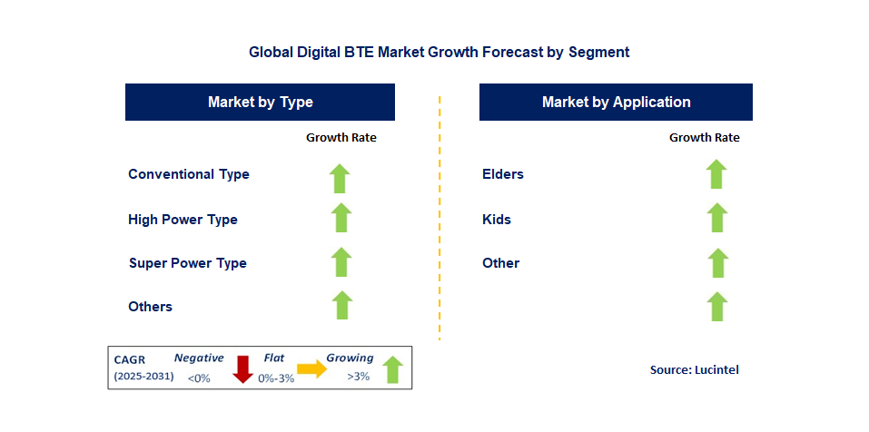 Digital BTE Market by Segment