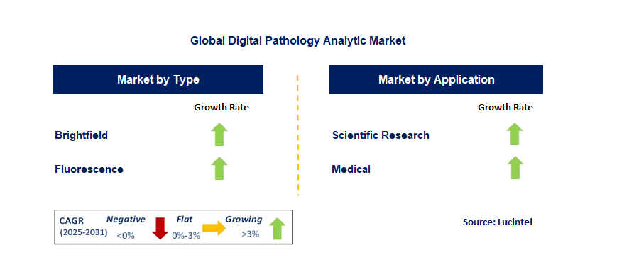 Digital Pathology Analytic Market by Segment