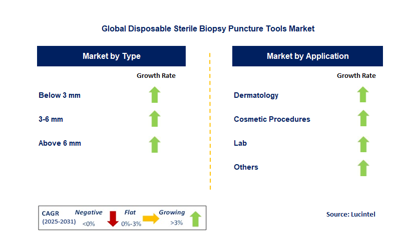 Disposable Sterile Biopsy Puncture Tools Market by Segment